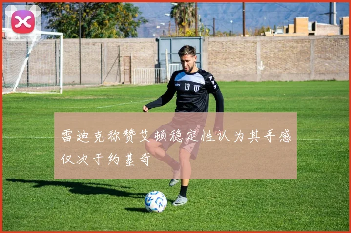 雷迪克称赞艾顿稳定性认为其手感仅次于约基奇