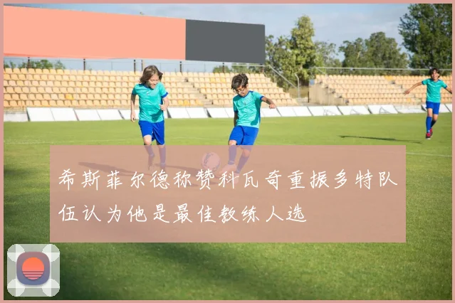 希斯菲尔德称赞科瓦奇重振多特队伍认为他是最佳教练人选