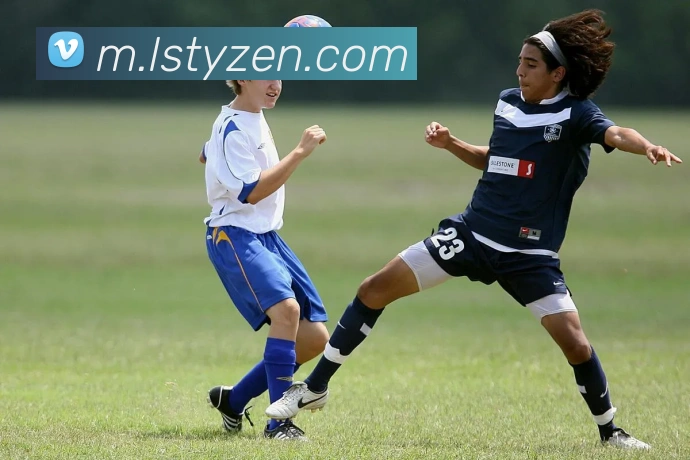 雷速体育平台生态图